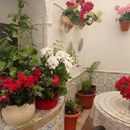 Casa Tipica De Pueblo Andaluz Villa Villanueva de San Juan Buitenkant foto