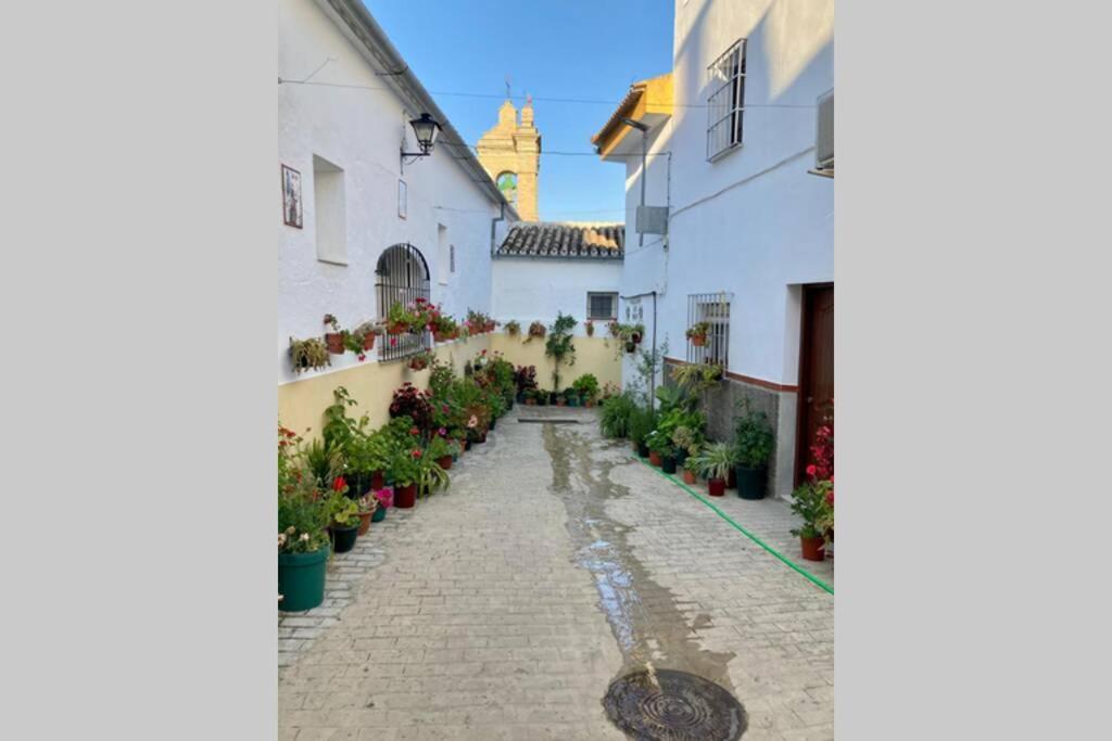 Casa Tipica De Pueblo Andaluz Villa Villanueva de San Juan Buitenkant foto