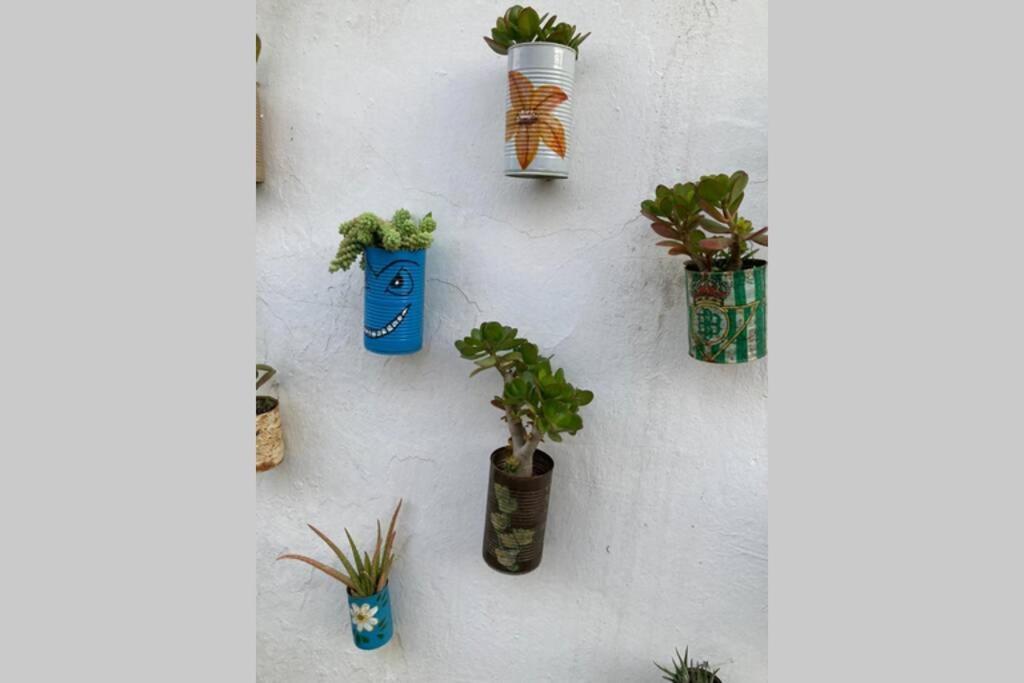 Casa Tipica De Pueblo Andaluz Villa Villanueva de San Juan Buitenkant foto