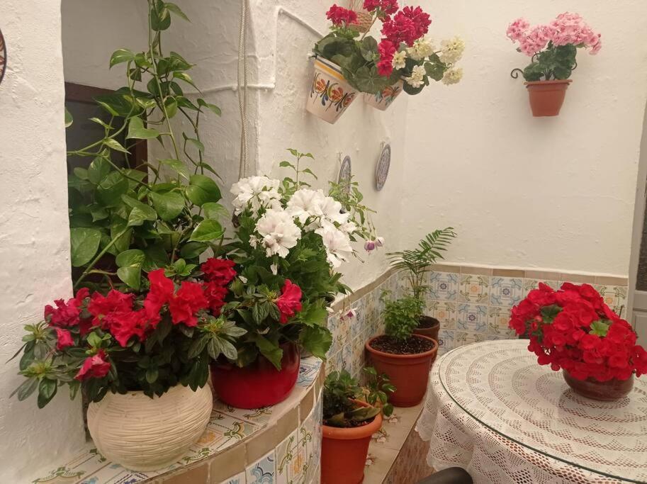 Casa Tipica De Pueblo Andaluz Villa Villanueva de San Juan Buitenkant foto